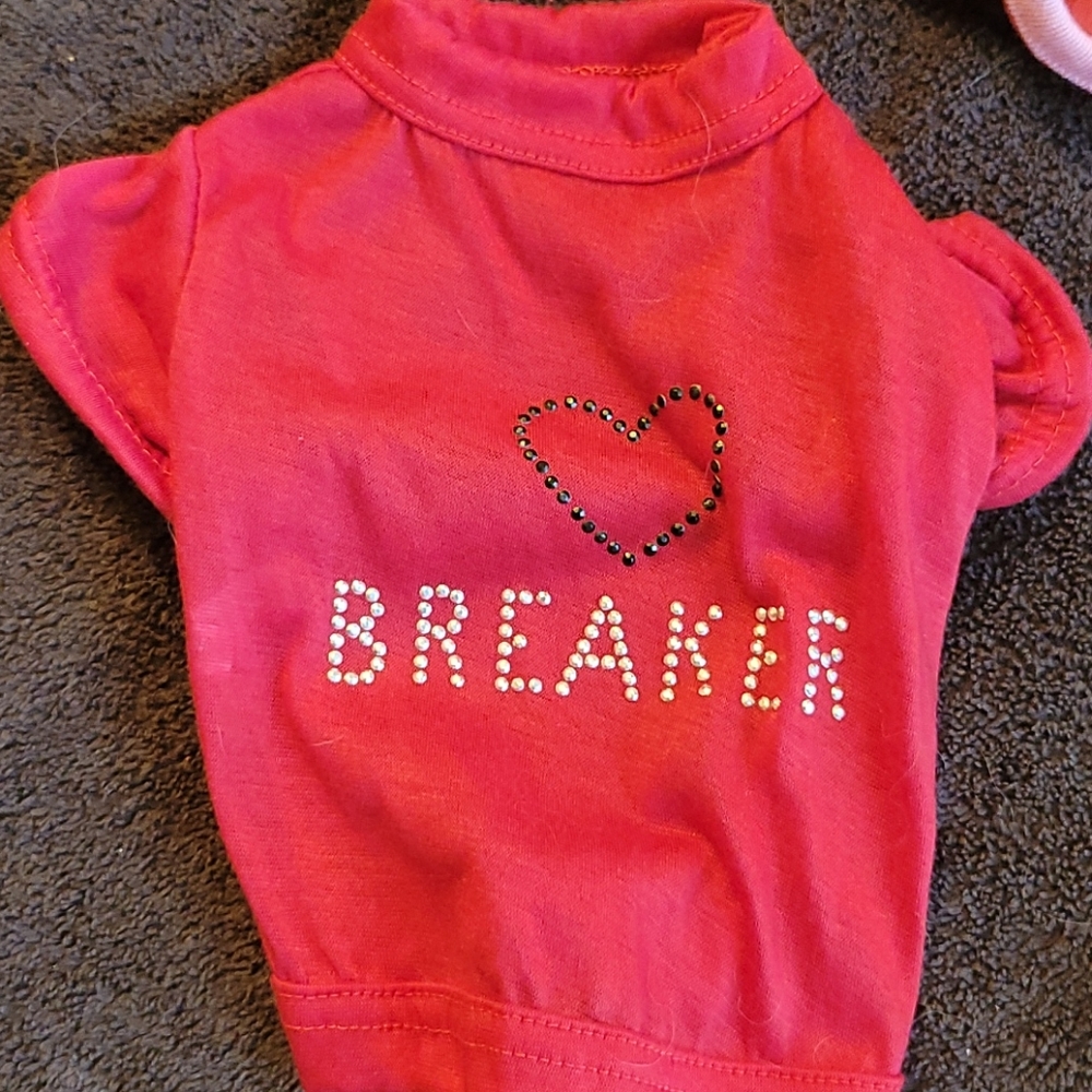 Small Dog Heart Breaker Shirt